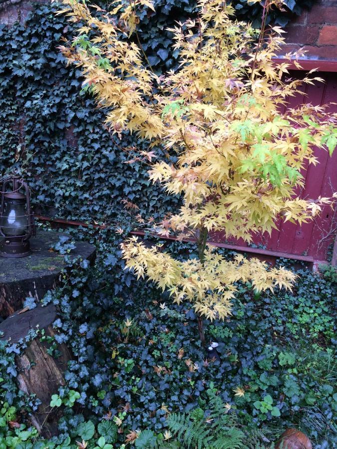 Minshuku Chambres D'Hotes Japonaises Thiers Bagian luar foto